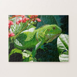 Puzzle Lizard vert Iguana
