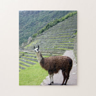 Puzzle llama peru