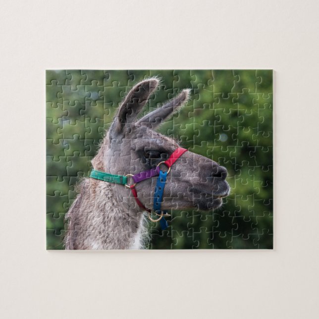 Puzzle Llama supériorité (Horizontal)