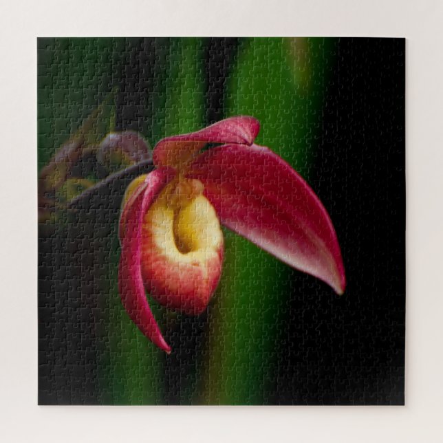 Puzzle L'Orchid de la Dame rouge (Vertical)