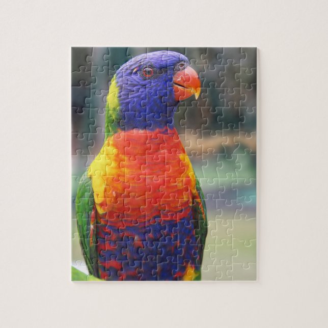 Puzzle Lorikeet arc-en-ciel (Trichoglossus haematodus 2) (Vertical)