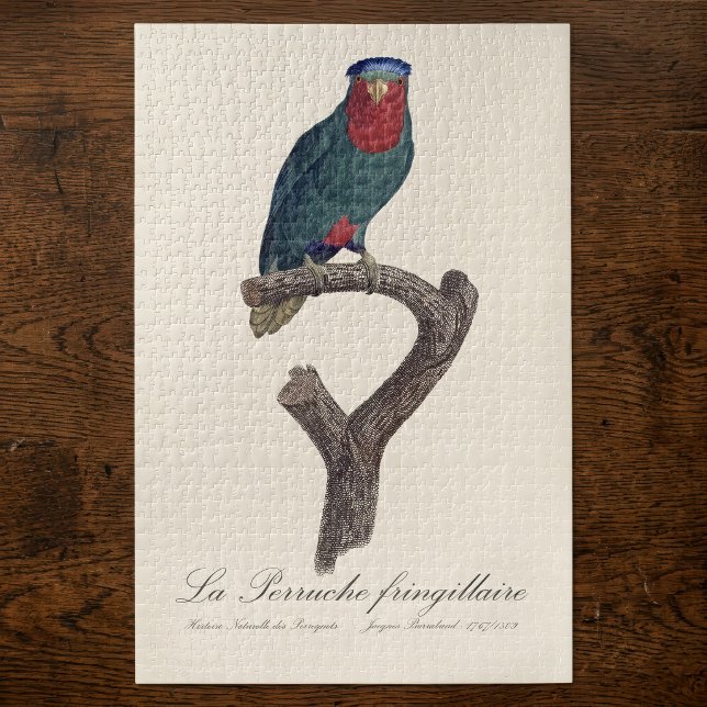 Puzzle Loriquet à couronne bleue, Vini Australis (Blue-Crowned Lorikeet, Vini Australis. Jigsaw Puzzle)