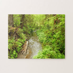 Puzzle Lost Man Creek II à Redwood National Park
