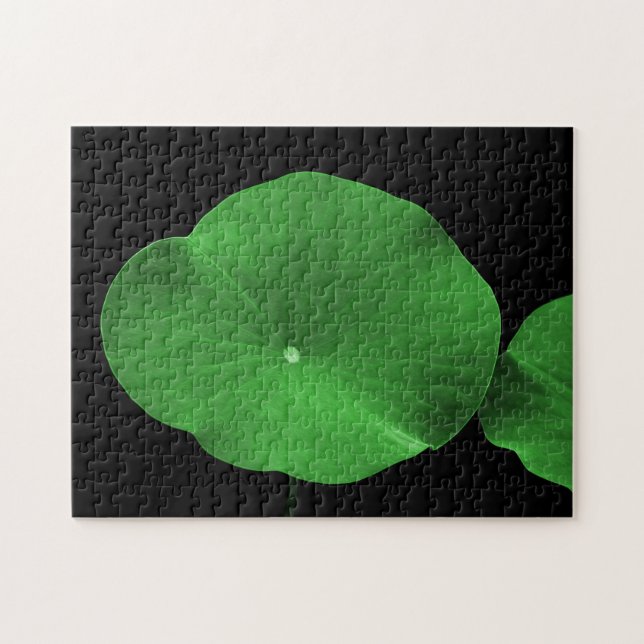 Puzzle Lotus Feuilles (Horizontal)