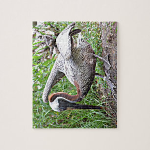 Puzzle Louisiana Brown Pelican