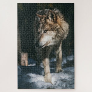 Puzzle Loup dans l'animal sauvage