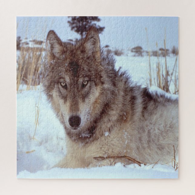 Puzzle Loup gris en hiver (Vertical)
