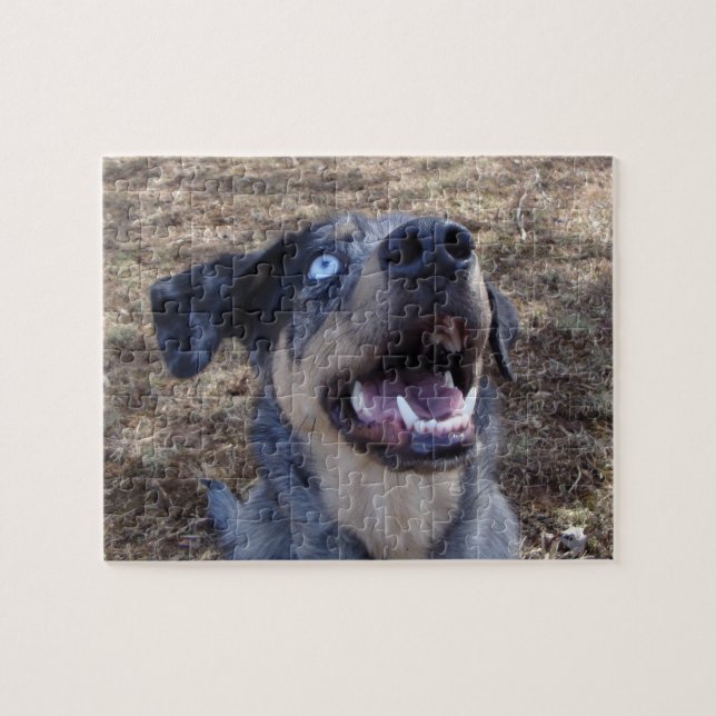 Puzzle Lousiana Catahoula Leopard Dog (Horizontal)