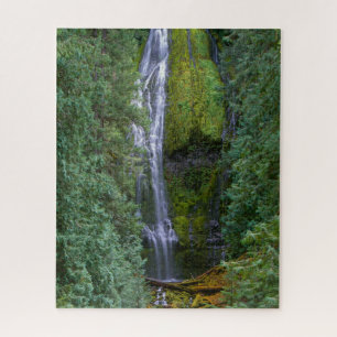 Puzzle Lower Proxy Falls Forêt nationale de Willamette