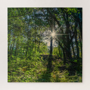 Puzzle Lumière dans la forêt