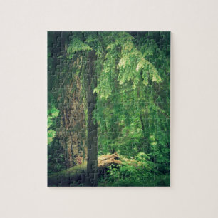 Puzzle Lumière de la forêt