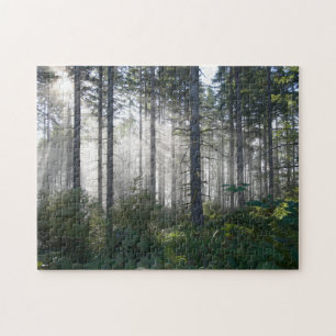 Puzzle Lumière du soleil traversant une forêt brumeuse