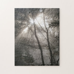 Puzzle Lumière Solaire À Travers Les Arbres