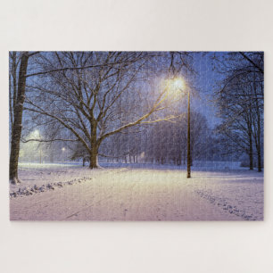 Puzzle Lumières de rue et couvert de neige jigsaw puz