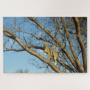 Puzzle Lune dans un arbre