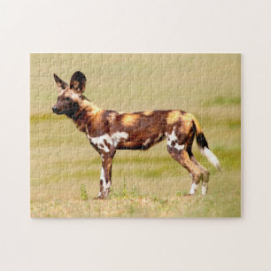 Puzzle Lycaon Pictus Debout