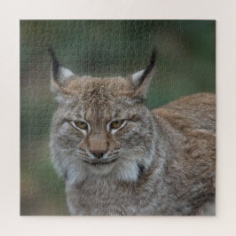 Puzzle Lynx Vous Regarde