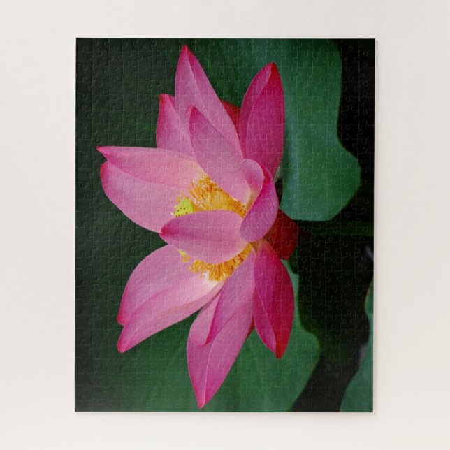 Puzzle Lys d'eau rose (Vertical)