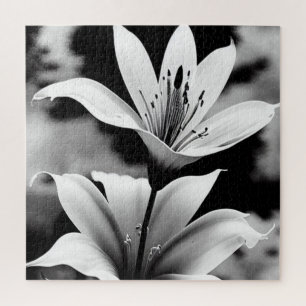 Puzzle Lys noir et blanc