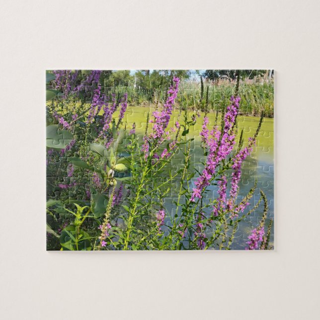 Puzzle Lythres à fleurs roses (Horizontal)