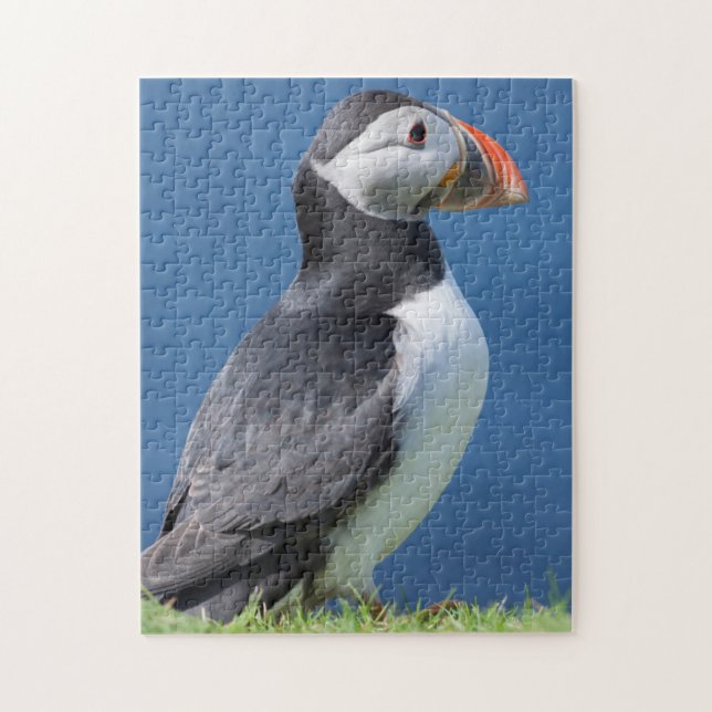 Puzzle Macareux Atlantique (Fratercula Arctica) Sur Une F (Vertical)