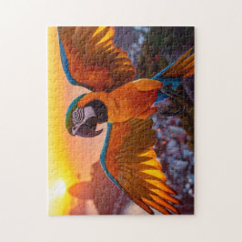 Puzzle Macaw