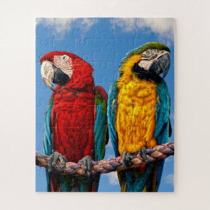 Puzzle Macaw bleu et jaune et macaw Scarlet