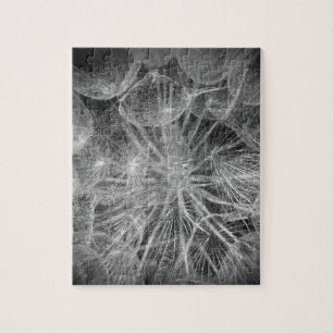 Puzzle Macro Dandelion Puffball Nature