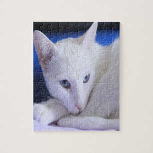 Puzzle Magnifique Chat Blanc/Ajoutez la photo de votre an