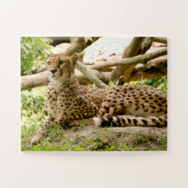 Puzzle Magnifique Cheetah Belle photo de chat