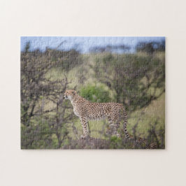 Puzzle Magnifique Cheetah Belle photo de chat
