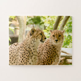 Puzzle Magnifique Cheetah Belle photo de chat