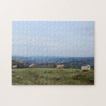 Magnifique vue panoramique de Wales Hill Sheep gal