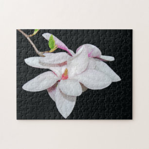 Puzzle Magnolia blanc