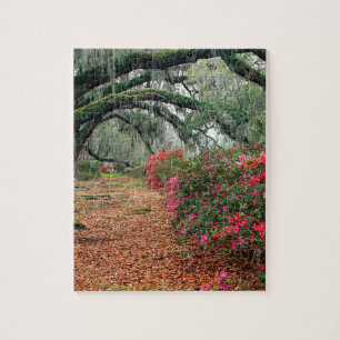 Puzzle Magnolia Charleston de chênes d'azalées d'arbres