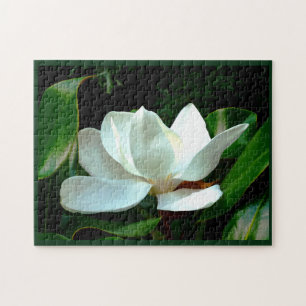 Puzzle Magnolia en gros plan