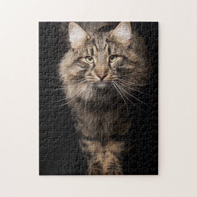 Puzzle Maine Coon gros chat (Vertical)