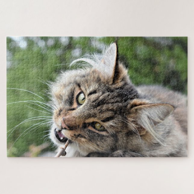 Puzzle Maine Coon Kitty Chat Mignonne animal amusant (Horizontal)
