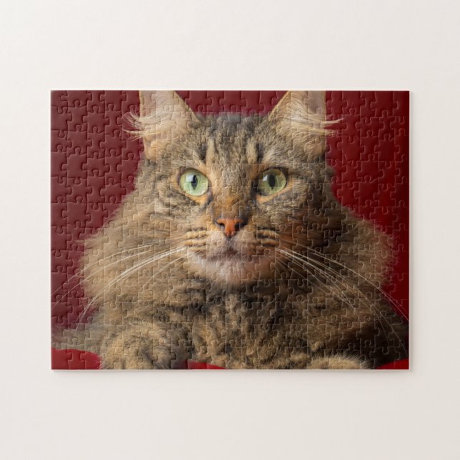 Puzzle Maine Coon pour Noël avec collectionneur (Horizontal)