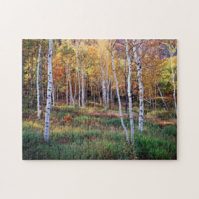 Puzzle Maine, Parc national de l'Acadia, automne (Horizontal)
