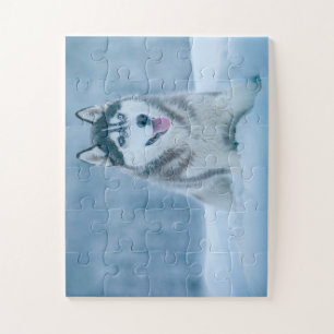 Puzzle Malamute d'Alaska marchant sur le terrain de neige