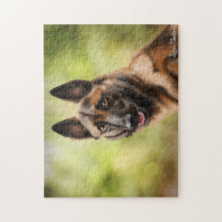 Puzzle Malinois