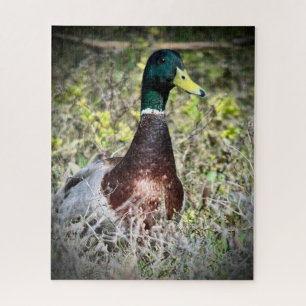 Puzzle Mallard