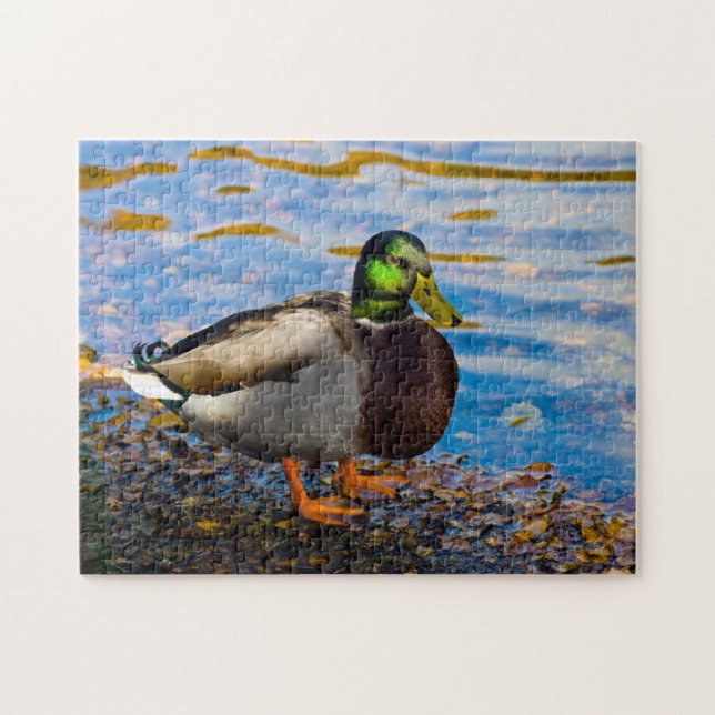 Puzzle Mallard Duck (Horizontal)