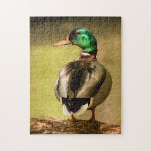 Puzzle Mallard Duck
