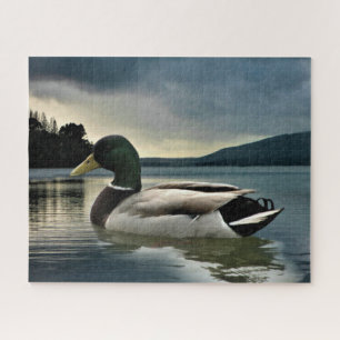 Puzzle Mallard Duck