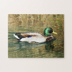 Puzzle Mallard Duck