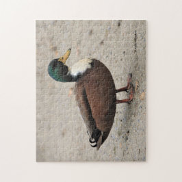 Puzzle Mallard Duclair à la maison Canard à la queue