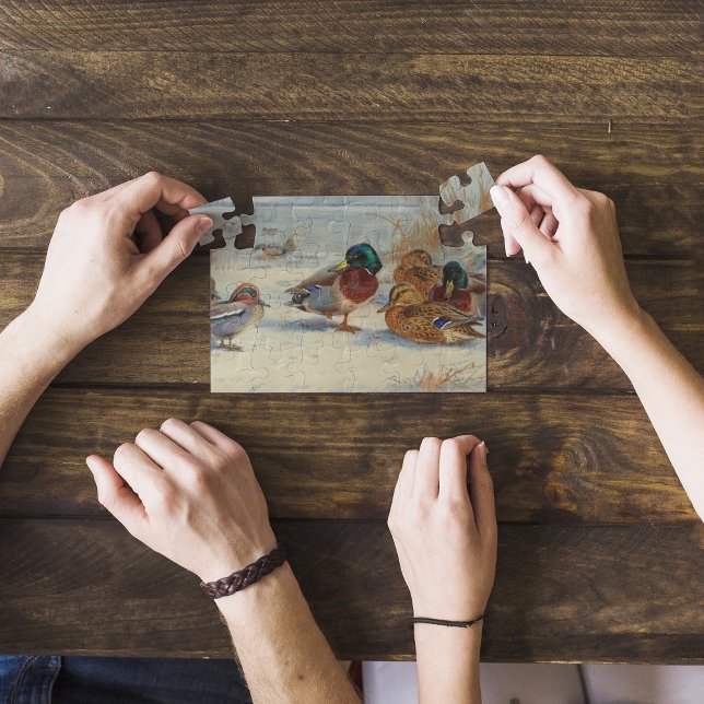 Puzzle Mallard et turquoise dans la neige, Oiseaux (Créateur téléchargé)