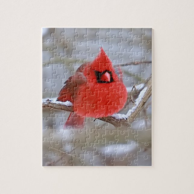 Puzzle Malw_Cardinal_puzzle  (Vertical)